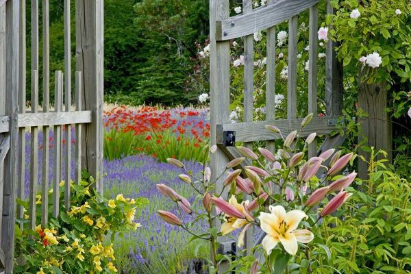 WA, Bainbridge Island Gate into flower garden